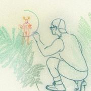 Tiger Lily Mountain Pass